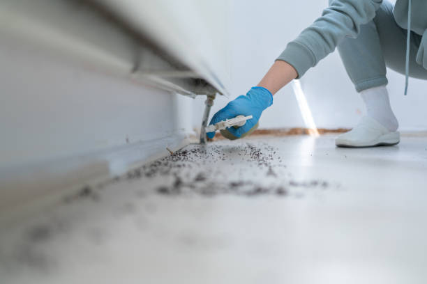 Best Affordable Pest Control Services  in Fort Pierce North, FL